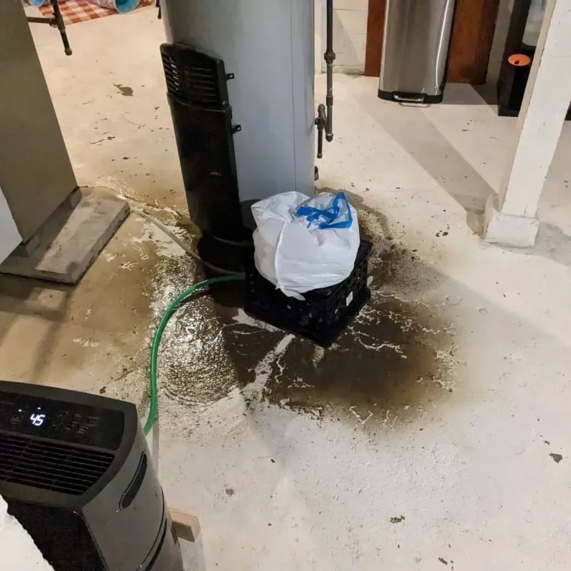 Sewage Backup Cleanup Service in Texas County, MO